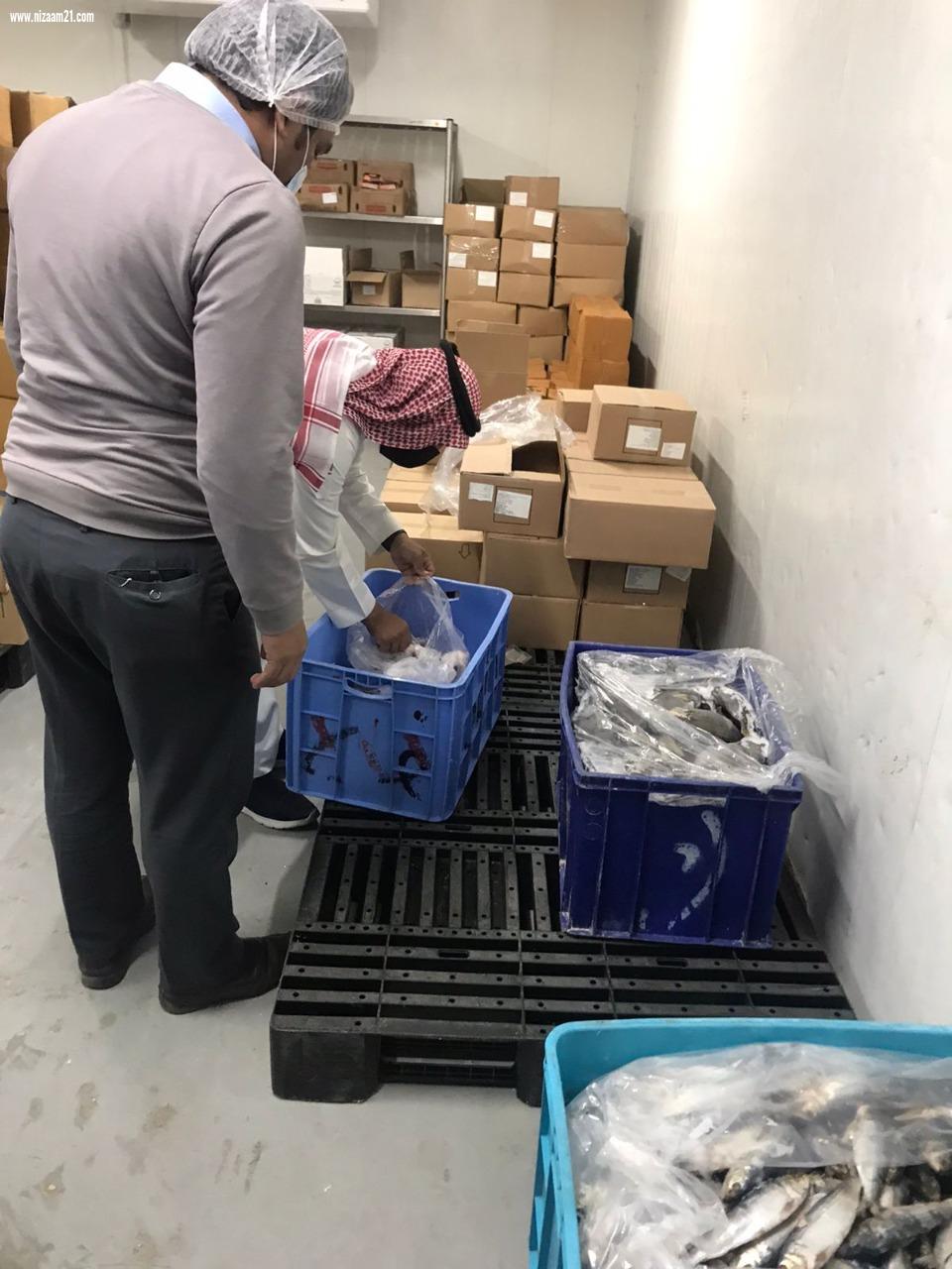 بلدية الجبيل :  مصادرة 500 كيلو من الأسماك الفاسدة 