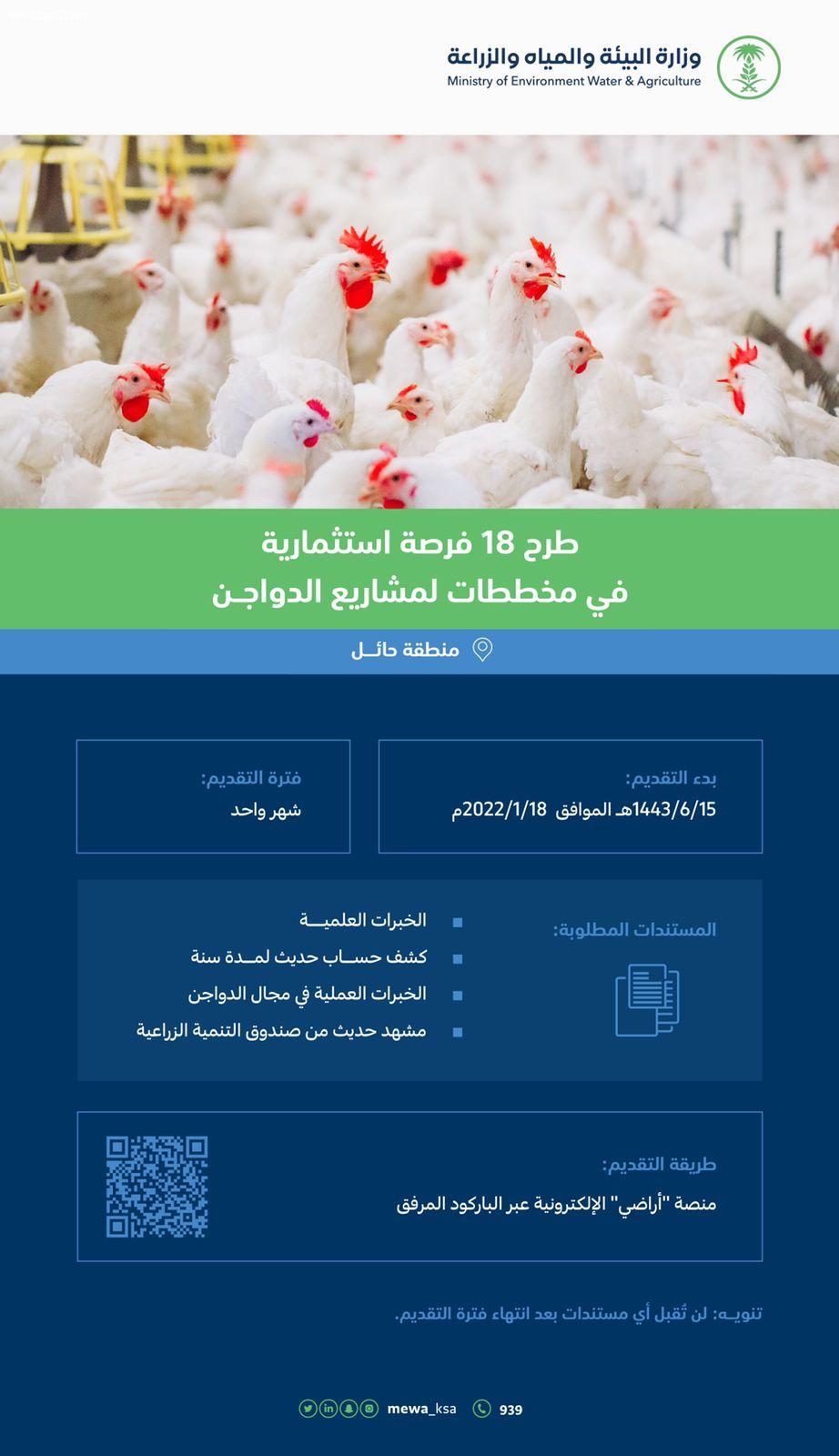 البيئةتطرح 18 فرصة استثمارية لمشاريع الدواجن في حائل