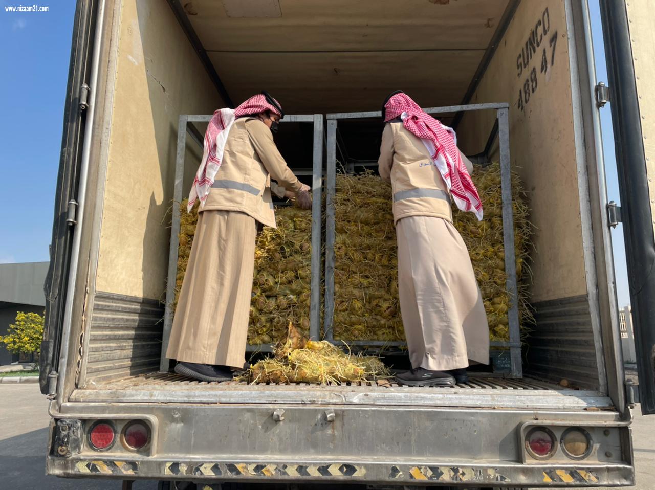 أمانة الشرقية تضبط وتتلف 100 طن من البطاطس الفاسدة