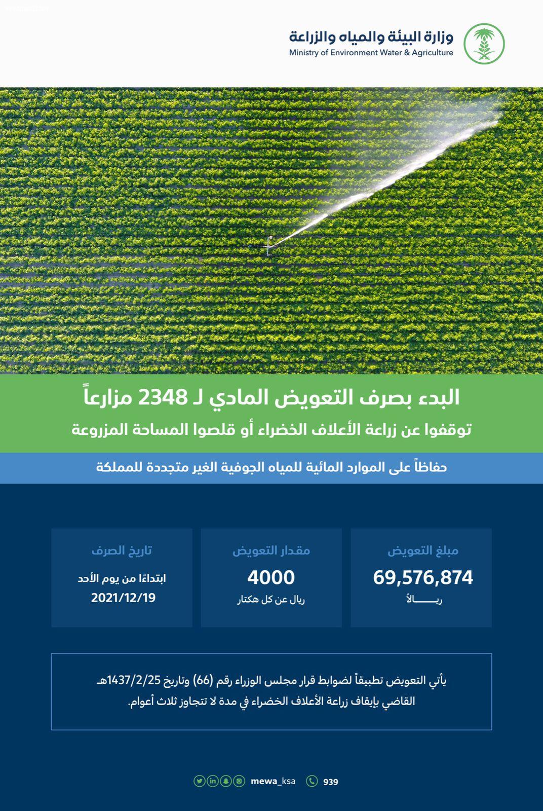 البيئة: 69.5 مليون ريال تعويضًا للمزارعين المتوقفين عن زراعة الأعلاف الخضراء