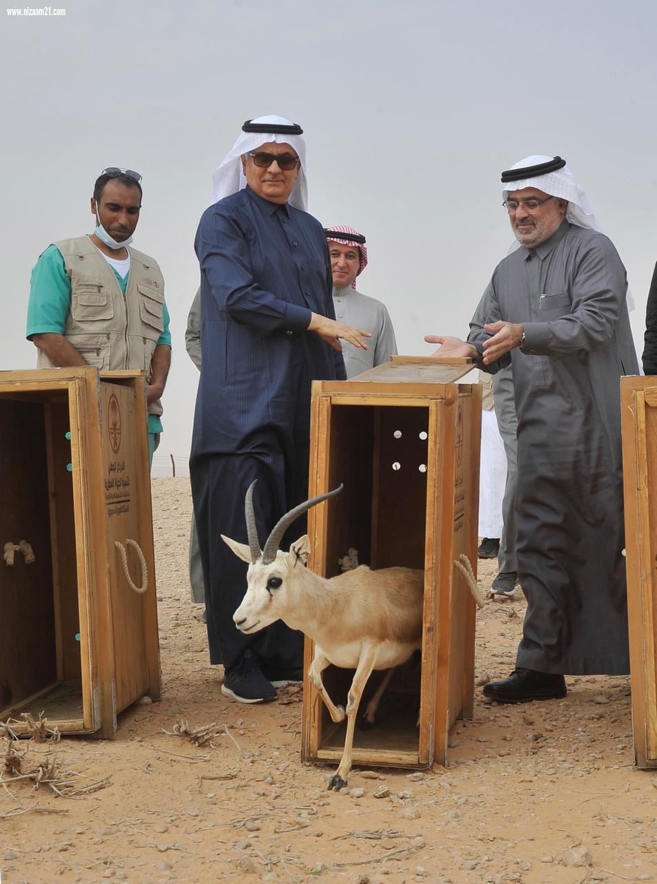 وزير البيئةيتفقد سير العمل في مركز الملك خالد لأبحاث الحياة الفطرية ويفتتح العيادة البيطرية ومختبر التحاليل
