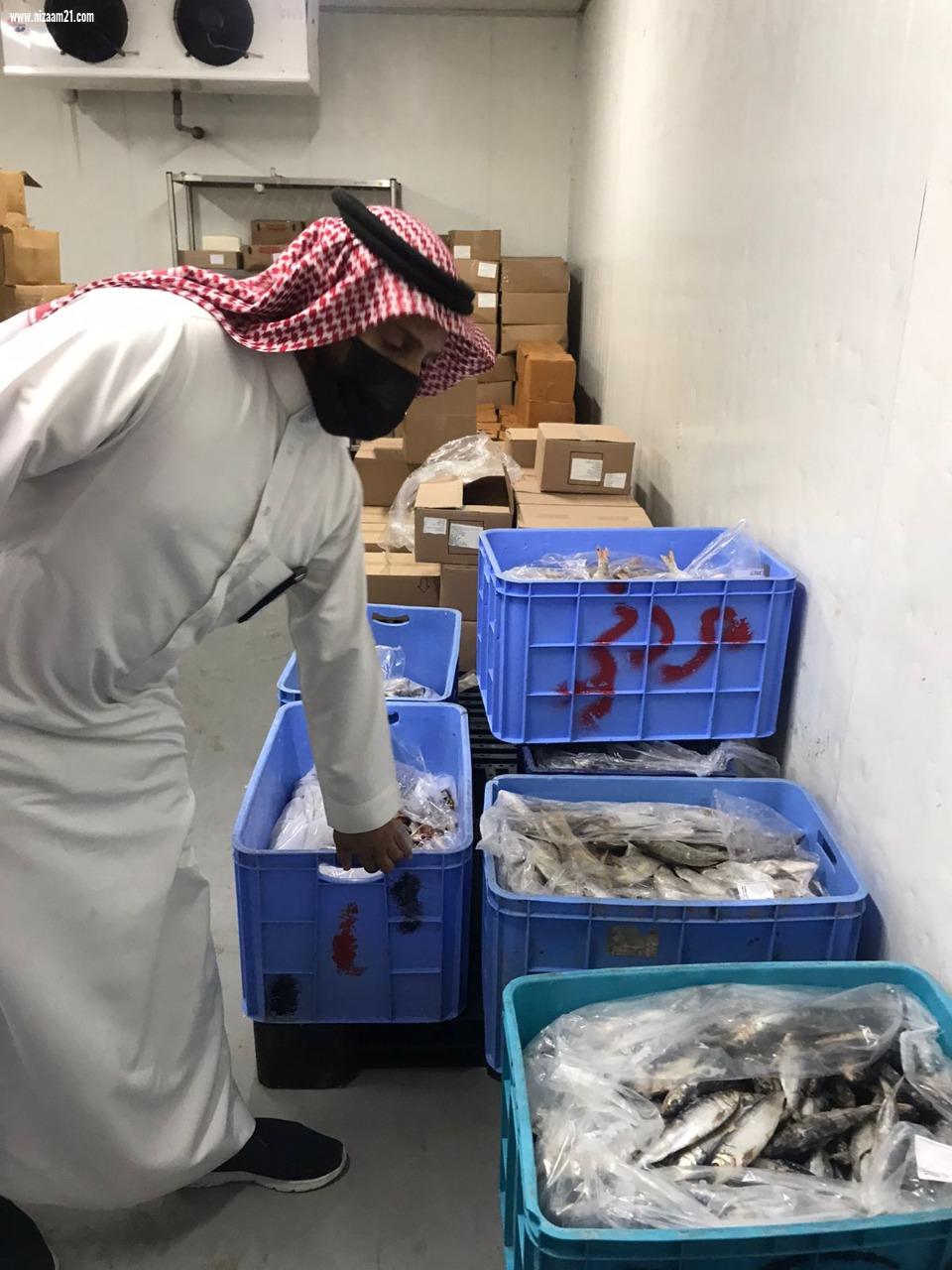 بلدية الجبيل :  مصادرة 500 كيلو من الأسماك الفاسدة 