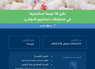 البيئةتطرح 18 فرصة استثمارية لمشاريع الدواجن في حائل