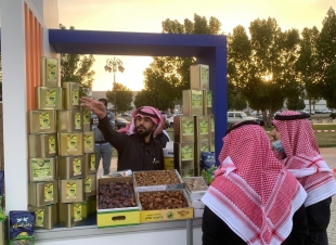 مهرجان الزيتون بمنطقة تبوك يواصل فعالياته وسط حضور لافت من الزوار