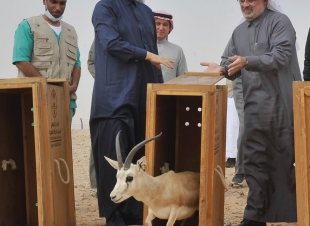 وزير البيئةيتفقد سير العمل في مركز الملك خالد لأبحاث الحياة الفطرية ويفتتح العيادة البيطرية ومختبر التحاليل