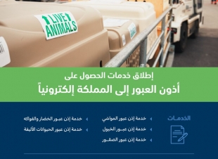 البيئة تطلق خدمات الحصول على أذونات العبور إلى المملكة إلكترونياً  